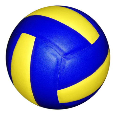 Volley Balls - SIDC